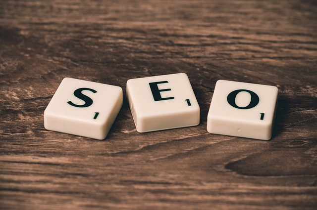 1757911697236440.jpg seo-758264_640.jpg