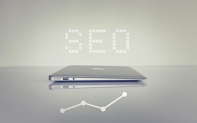 1770798713797582.jpg seo-6183542_640.jpg